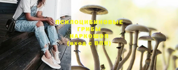 скорость mdpv Новозыбков