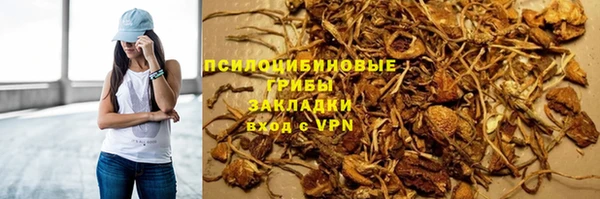 гидра Коряжма