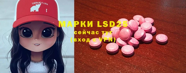 индика Няндома