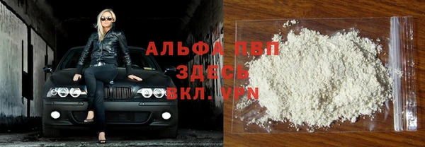 PSILOCYBIN Новодвинск