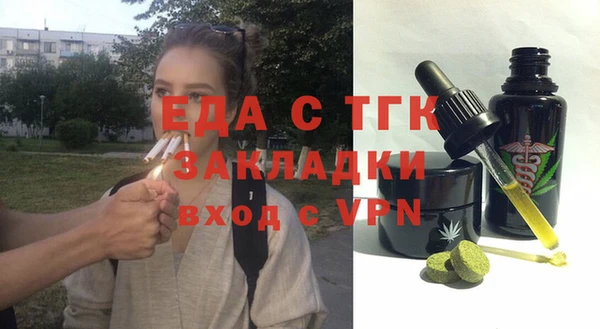 индика Няндома