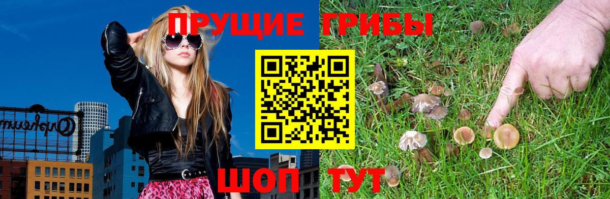 Псилоцибиновые грибы Cubensis  Псилоцибиновые грибы MAGIC MUSHROOMS  Ржев  Вход с VPN 